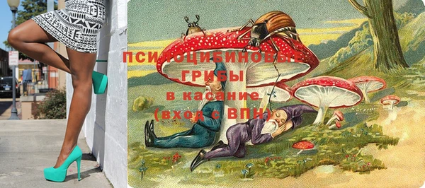 СК Белокуриха