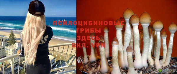 СК Белокуриха