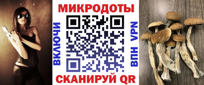 ссылка на мегу ТОР  Челябинск  Галлюциногенные грибы MAGIC MUSHROOMS 